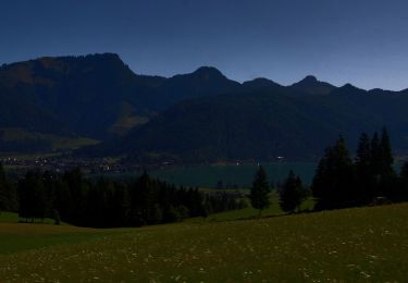 Tour Zu Fuß Gemeinde Walchsee - Durchholzen/Walchsee - Lippenalm - Raineralm - Photo