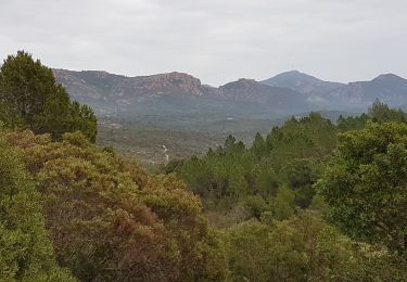 Randonnée Marche Saint-Raphaël - SAINT RAPHAEL - LES 3 COLLETS - Photo