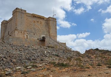 Randonnée Marche Għajnsielem - MALTE 4 COMINO - Photo