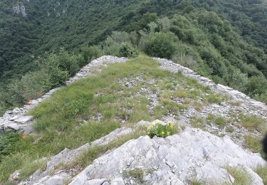 Trail On foot Erve - Sentiero 831: Cappella del Corno (Erve) - M. Spedone - Nesolio - Erve - Photo