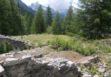 Trail On foot Morgex - Itinerario 16 Col San Carlo Colle Della Croce - Photo