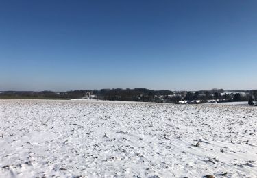 Tocht Stappen Chaumont-Gistoux - Commone-Vieusart-Villers - Photo