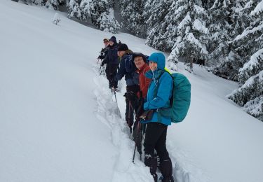 Tocht Sneeuwschoenen La Chapelle-d'Abondance - Raquettes 4ème jour 12 km - Photo