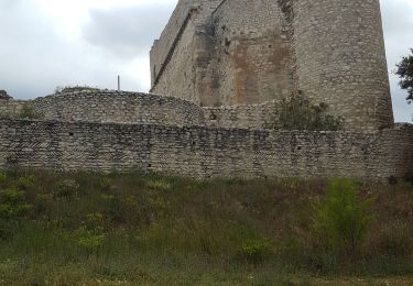 Tour Wandern Le Thor - Château de Thouzon  - Photo