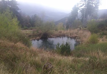 Excursión Ruta Entrepierres - Tour de La Corombe - Vilhosc 04 - Photo