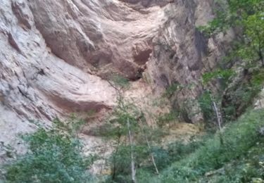 Tour Wandern Châtelus - grotte de Bournillon - Photo
