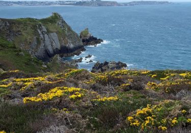 Trail Walking Crozon - pointe des Espagnols  - Photo