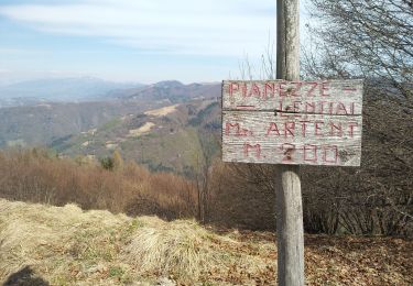 Trail Trail Borgo Valbelluna - malga Garda - Photo