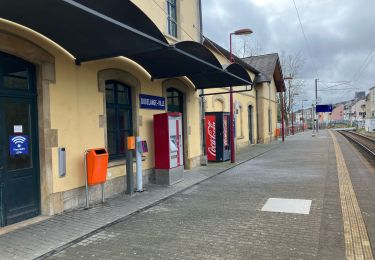 Tour Wandern Düdelingen - Dudelange Centre ville  - Photo