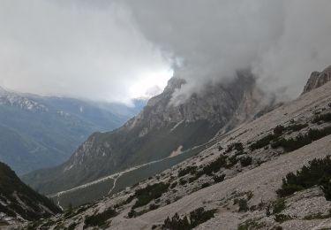 Trail On foot Calalzo di Cadore - IT-255 - Photo