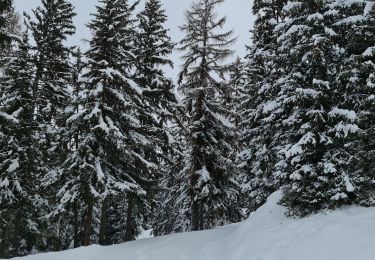 Tour Skiwanderen Bourg-Saint-Maurice - Arcs Le Chantel vers Peisy Vallandry (Boucle) - Photo