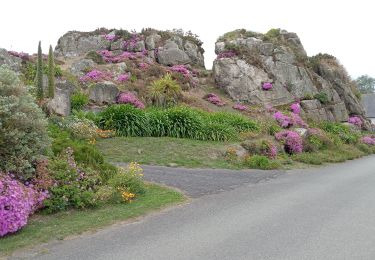 Randonnée Marche Plougrescant - boucle de plougrescan (le gouffre)  - Photo