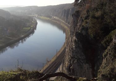 Trail Walking Namur - Meuse: Marche les dames  - Photo