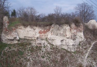 Percorso A piedi Lipsko - Solec nad Wisłą - Photo