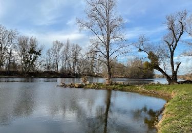 Tour Wandern Vougy - Vougy : Pouilly-sous-Charlieu et rives de Loire  - Photo