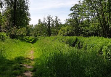 Tour Wandern Rixensart - Bois de Rixensart - Photo