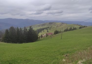 Trail Walking Sondernach - Landersen boucle  - Photo