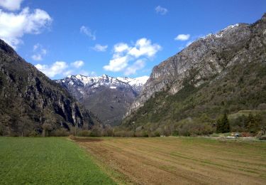 Trail On foot Tremosine sul Garda - Polsone, Malga Ciapa - Photo