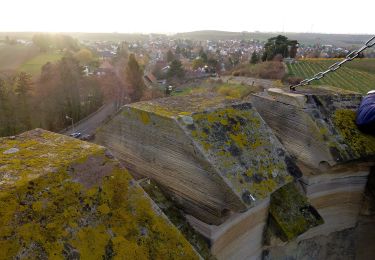 Tour Zu Fuß Alzey - Küstenweg - Rundweg Weinheimer Bucht - Photo