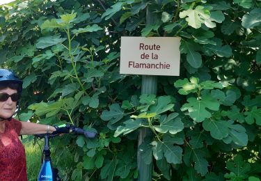 Trail Bicycle tourism Bassignac-le-Bas - Beaulieu sur Dordogne-Argentat - Photo