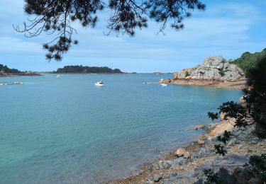 Trail Walking Paimpol - Lézardrieux Plage de Lodano - GR34 Allée couverte de Mélus PM - 15km 220m 3h45 - 2024 06 28 - Photo