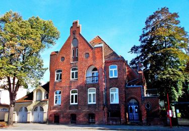 Percorso A piedi Trittau - Wanderweg Nr. 36: Großensee - Mölln (GS-MÖ) - Photo