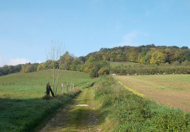 Randonnée A pied Dornburg-Camburg - Stöben-Schmiedehausen - Photo