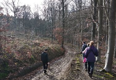 Randonnée Marche nordique Jemeppe-sur-Sambre - ELVOVAL--HAM S S-sentiers communaux -MARS -2020 - Photo