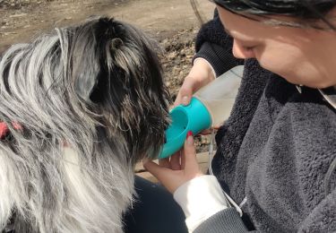 Trail Walking Braine-le-Comte - Nina, MEREL en Sofie - Photo