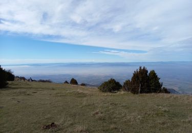 Tour Wandern Léoncel - Pierre Chauve-Pas de St Vincent- Pas de Touet - Photo