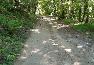 Trail Walking Saint-Fortunat-sur-Eyrieux - 07 st fortunat dubieres st Vincent dufort - Photo