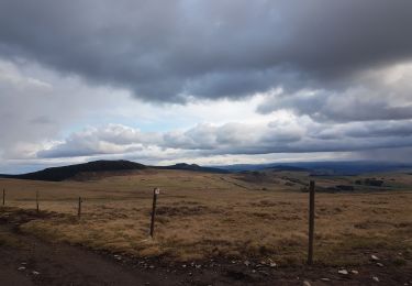 Randonnée Marche Borée - mont Mezenc - Photo