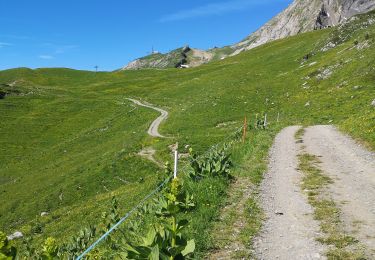 Tour Wandern Arbaz - les rousses  - Photo