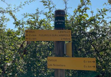 Trail Walking Fleurieux-sur-l'Arbresle - De Fleurieux aux couvent d'Eveux et retour - Photo