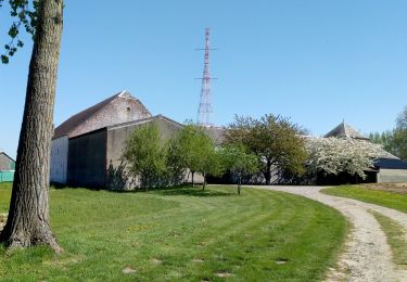 Tour Wandern Court-Saint-Étienne - la ferme blanche - Photo