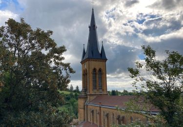 Tour Wandern Porte des Pierres Dorées - Jarnioux / 2020-06-22 / 10 km - Photo