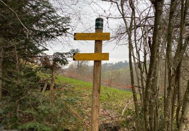 Randonnée Marche Salt-en-Donzy - Au départ de Saltz - Photo