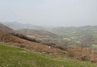 Tocht Mountainbike Macaye - Baigura 210221 - Photo