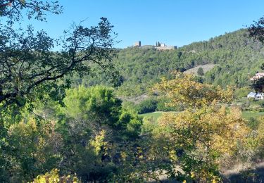 Tour Wandern Rochefort-en-Valdaine - Rochefort-en-Valdaine  Le Janeston 7km5 - Photo