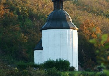 Tocht Te voet Kallósd - Mackó út - Photo