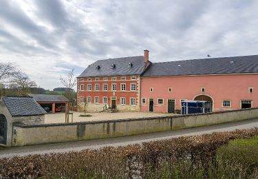 Randonnée A pied Mamer - Dudschleed - Photo