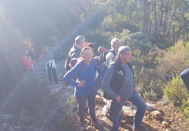 Tour Wandern Puget-sur-Argens - la lieutenante - Photo