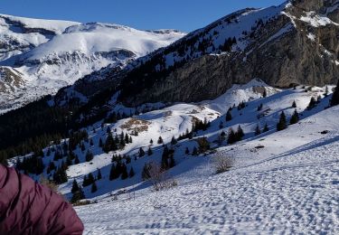Randonnée Raquettes à neige Le Dévoluy - super 2024 - Photo