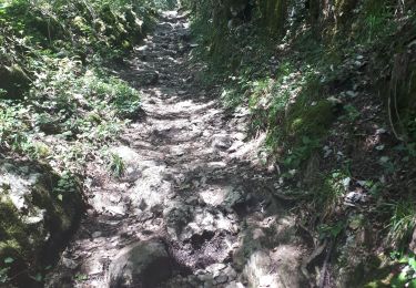 Trail Walking Aiguebelette-le-Lac - l'épine d'Aiguelette - Photo