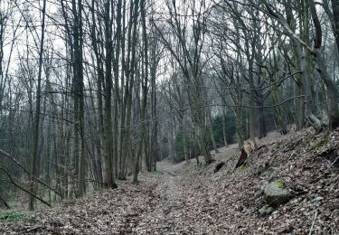 Trail Walking Chaudfontaine - tour du bois de la rochette - Photo
