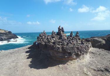 Tour Wandern La Trinité - Martinique pointe de la caravelle - Photo