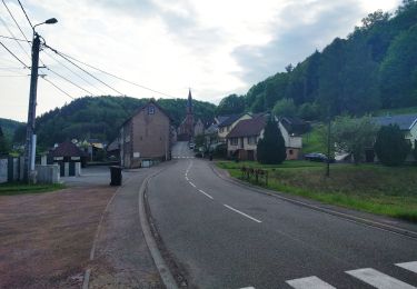 Randonnée A pied Goetzenbruck - Disque rouge - Photo