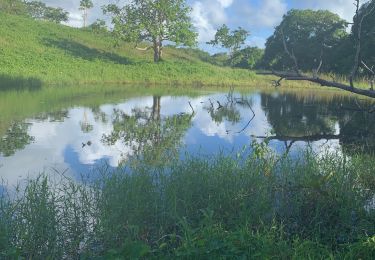 Tour Nordic Walking Sainte-Anne - Belle mare  - Photo