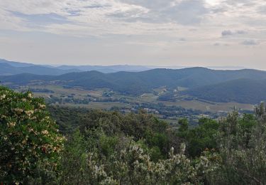 Excursión Senderismo Hyères - Les Borels 