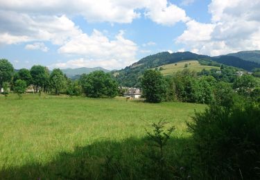 Tour Wandern La Bourboule - roche des fées 2019-07-04 - Photo